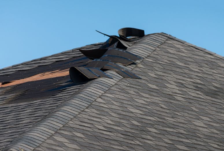 Roof Repair & Maintenance in Timmins & Matheson